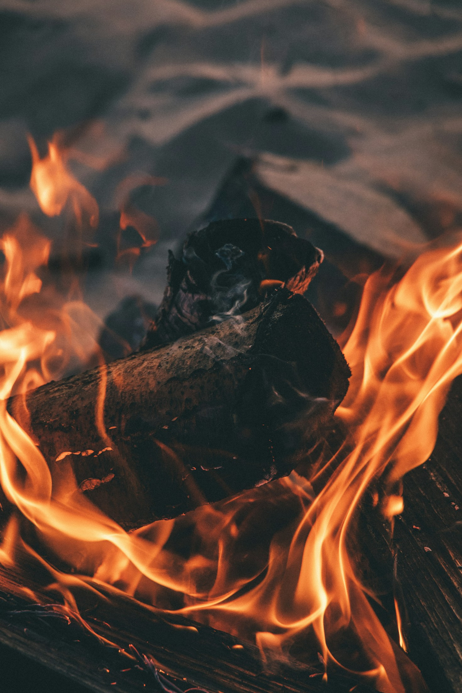 The Myth of the Phoenix: A Symbol of Renewal